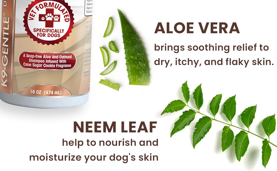 Sugar Cookie Shampoo