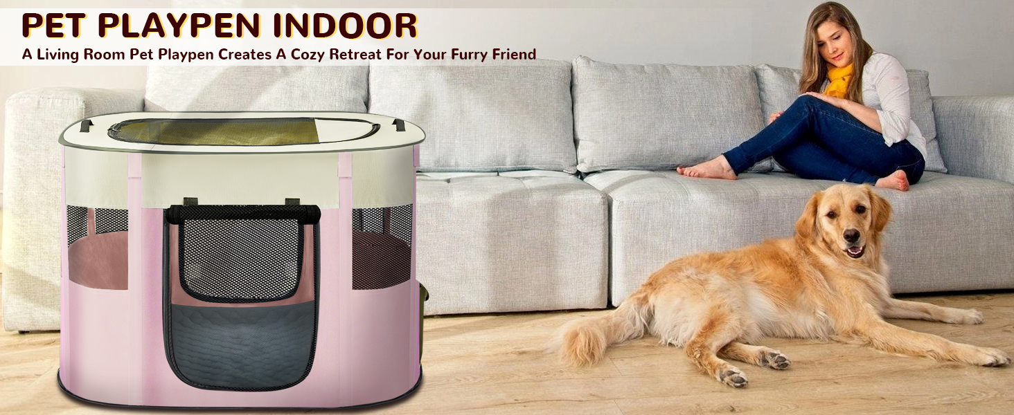 dog playpen indoor