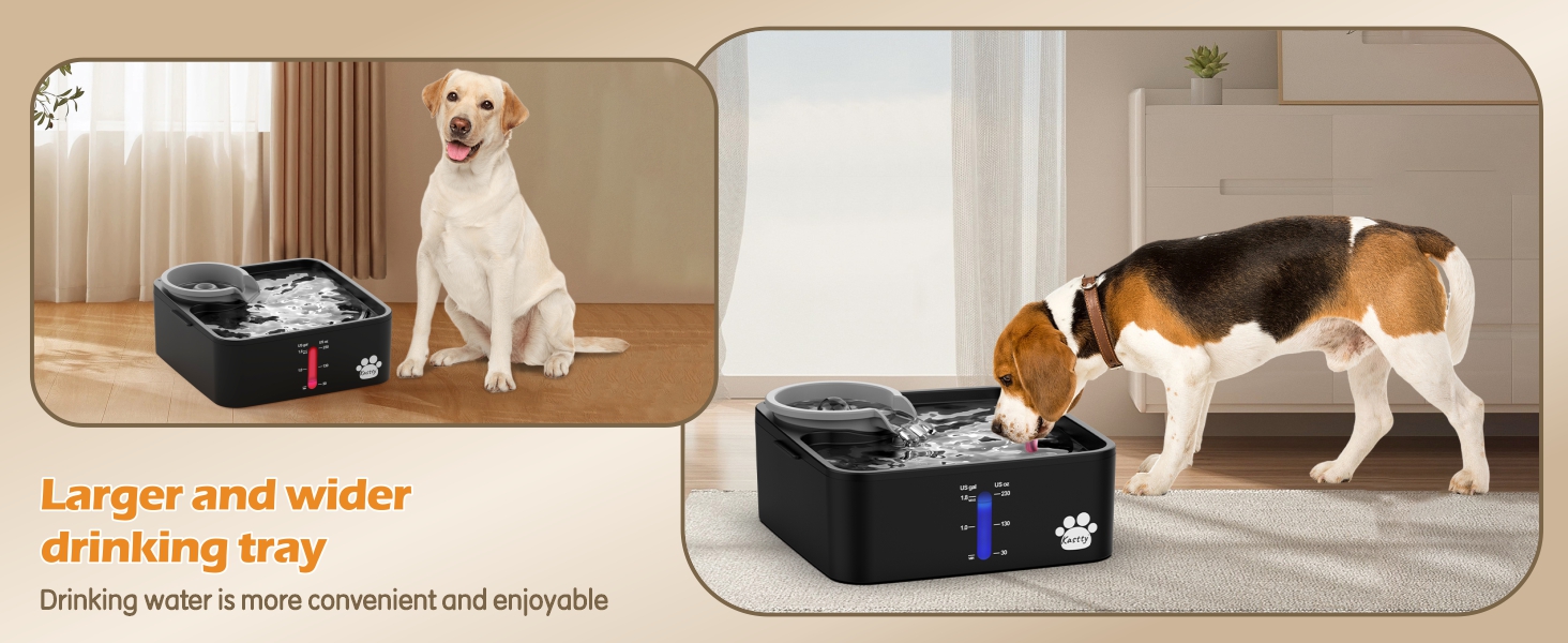 dog water fountain for large dogs