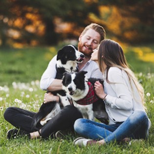 Animale domestico & Bestiame