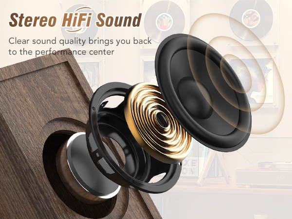 Amazon.com: Vinyl Record Player with 24W HiFi Stereo