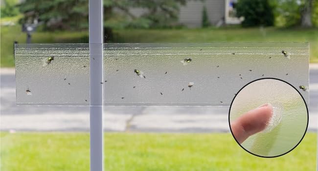 Large manufacture image 3