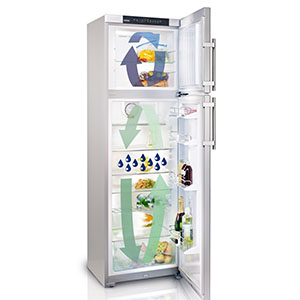 Fridge