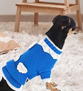 Hundepullover