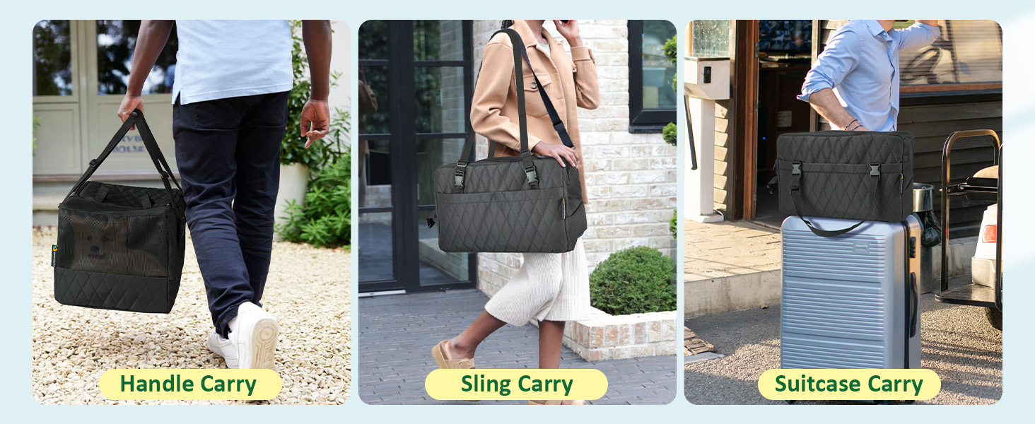 dog carriers for small dogs