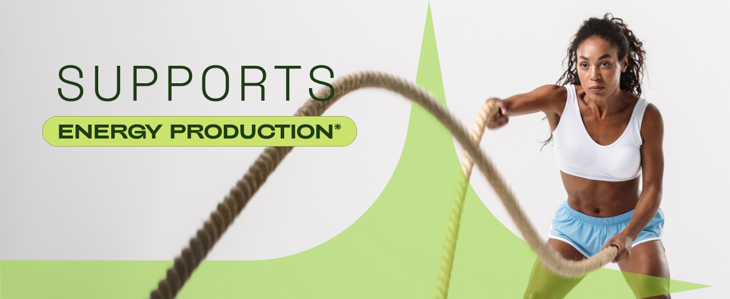 tmg supplements niacinamide niacin vitamin b1 nad supplement 1000mg pure organic supplement nad 3