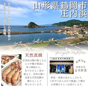 祝い額　鯛　白木　大入 楽天市場】縁起祝額【25号 大入（白木）金具付】18-457-09