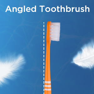 Angled Toothbrush