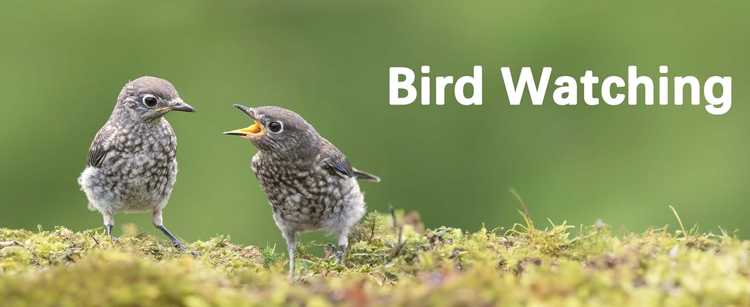 binoculars for bird watching