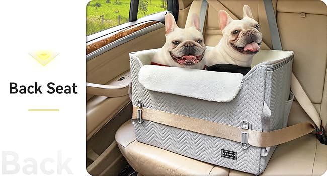 dog booster car seat