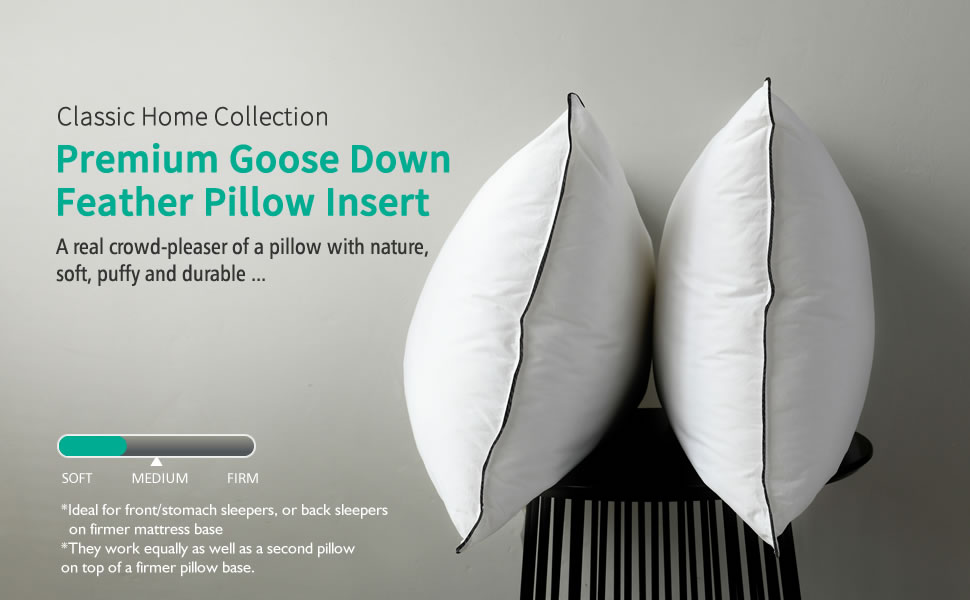 APSMILE Goose Down Feather Pillows 2 Pack Soft Bed Pillows