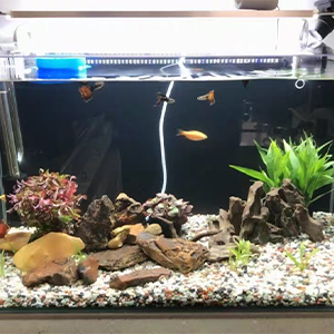 Black Background Sticker for Fish Tank