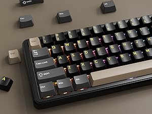 x66