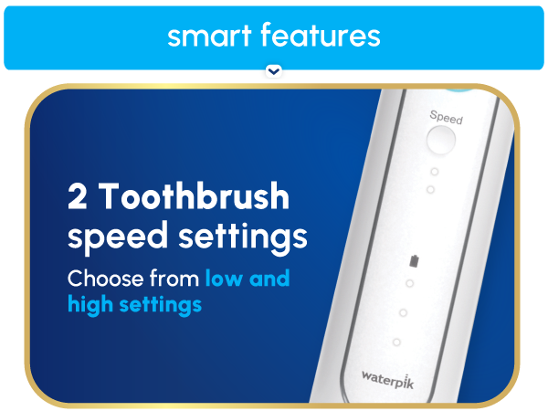 Image of toothbrush power handle with text reading 2 toothbrush speeds choose from low and high