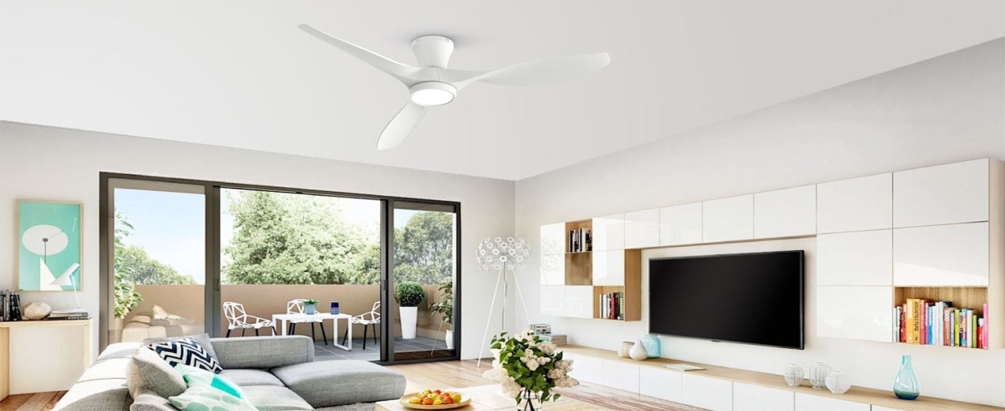 ceiling fan