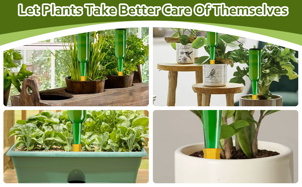 SENNAUX Plant SelfWatering Stakes Terracotta Painted Plant Watering Devices Wine