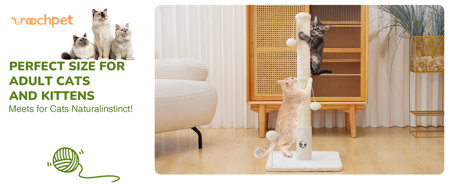 Cat Scratcher 