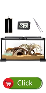 reptile terrarium tanks with kits accessories