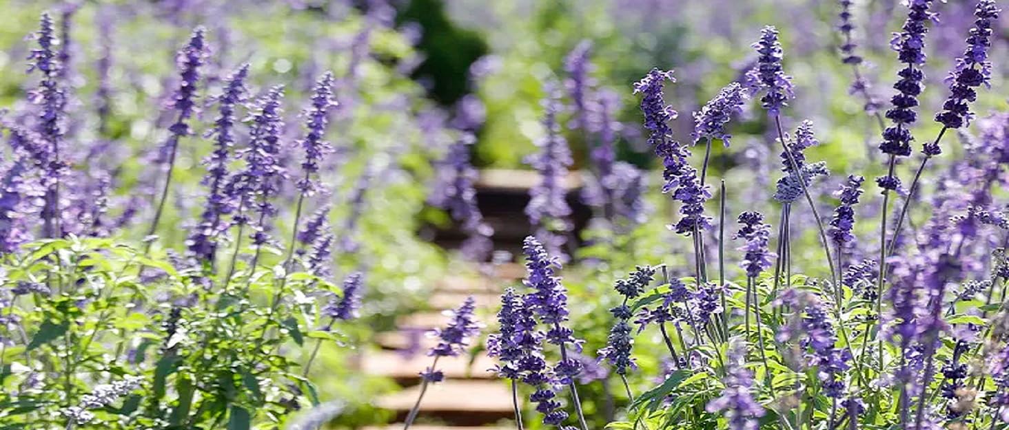 Sage Bath Sets for Women Gift