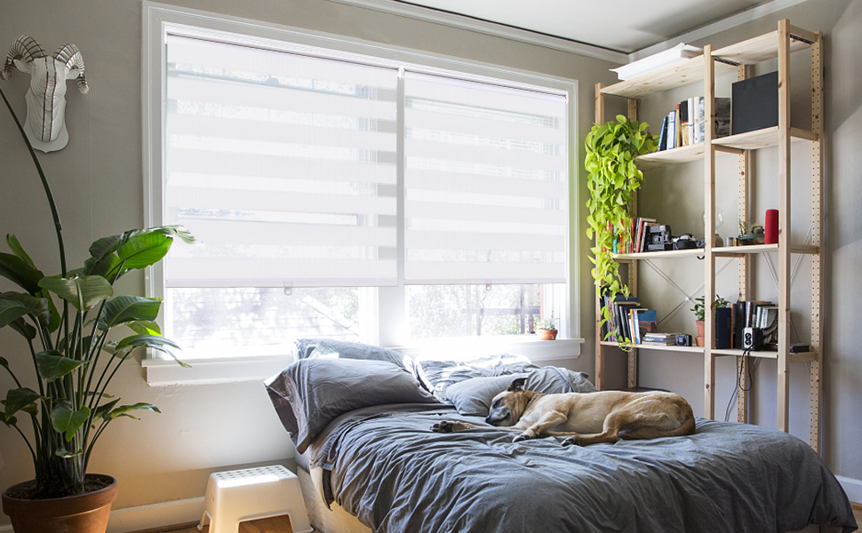 KELIXU Cordless Zebra Blinds for Windows, Dual Layer Zebra Roller Window Shades FreeStop Blinds