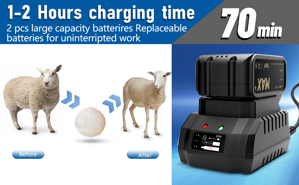 Large capacity sheep shears