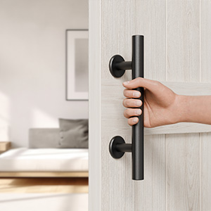 Heavy Duty Pull and Flush Door Handle Set