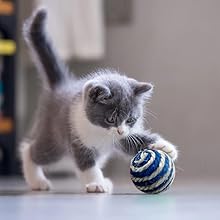 Vebetter Bola De Sisal Para Gatos, 9 Bolas De Cuerda De Sisal, 4,3cm Bolas De Juguete Para 