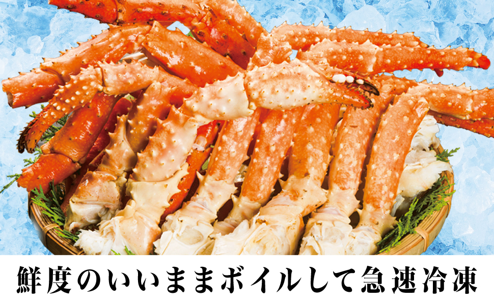 カニ　根付　天然素材 ichigo-ichigo カニ祭りコラボ！ ゴールデンキングクラブ カニ