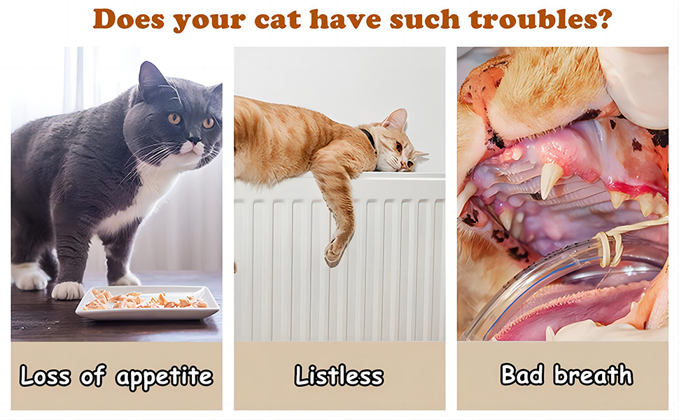 GIAPINST 6 Silvervine Sticks for Cats, 15PCS Natural Catnip Chew Toys