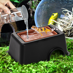 S-ReptileHideBox.PT05