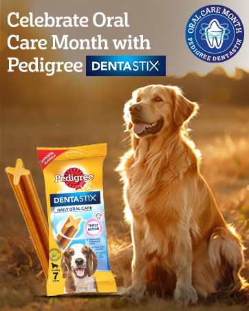 oral care, oral care for dogs