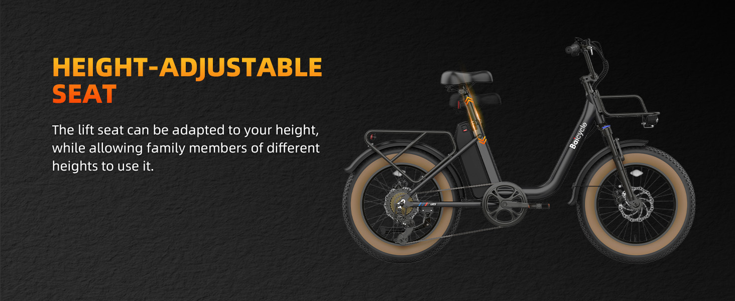 fat tire e bike