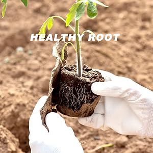 plant nursery pots