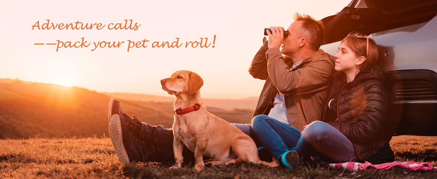 Dog Car Seat Cover for Back Seat, Waterproof Rear Seat Protector, Non-Slip Interior Bench Cover 