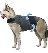 dog thunder shirt