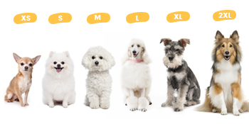 suit for various pets