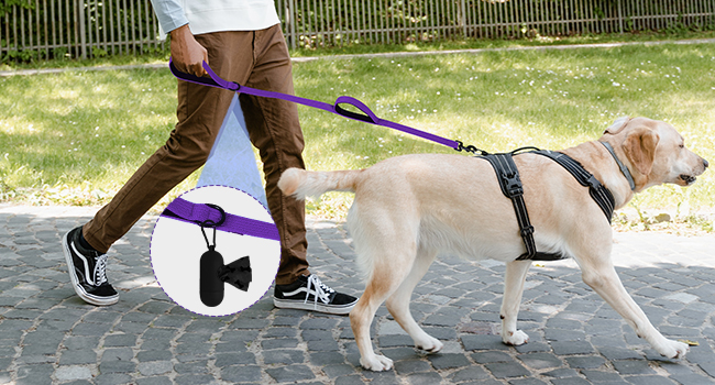 6FT Dog Leash for Large Medium Small Dogs