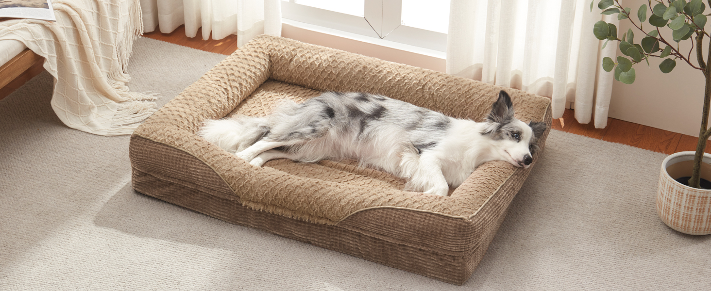 dog bed large size dog