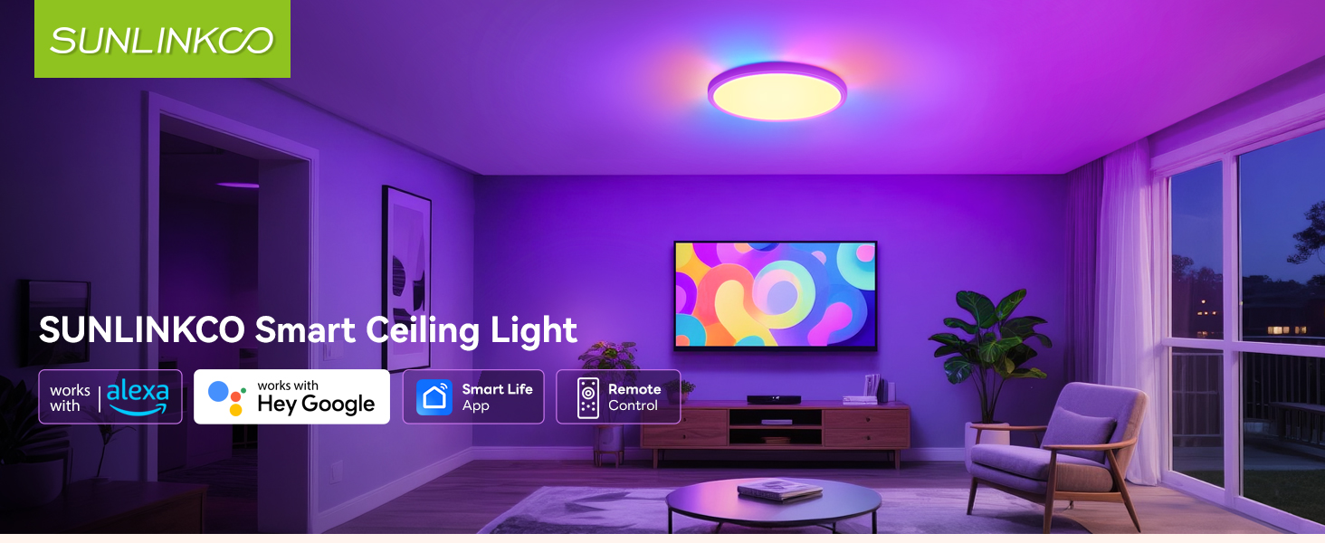 flush mount ceiling light