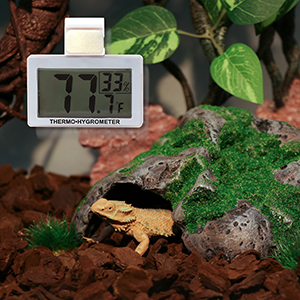reptile thermometer