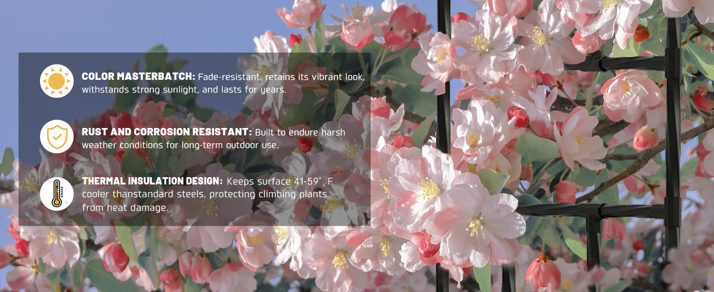 10 ft wide metal arbor