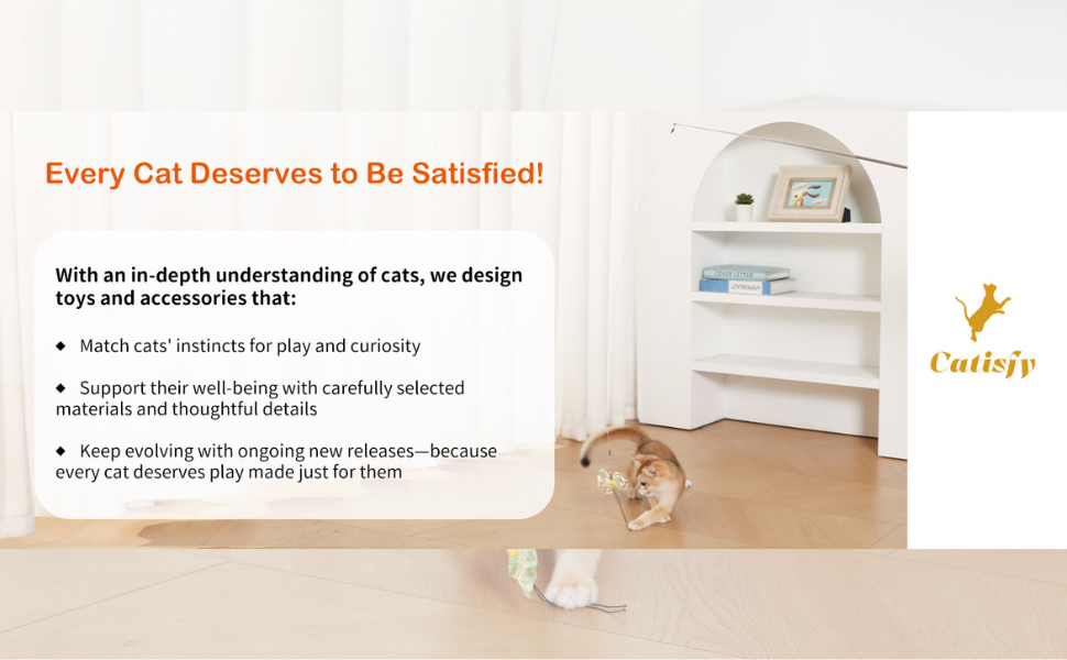 Catisfy – Thoughtfully Designed Cat Products Rooted in Real Behavior