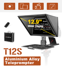 T12S