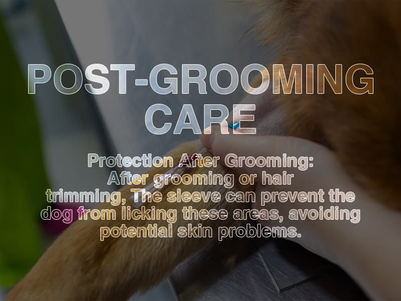 Dog Elbow Pad Front Leg Protector to Prevent infect and