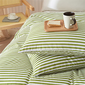 Comforter Set with two matching pillowcases