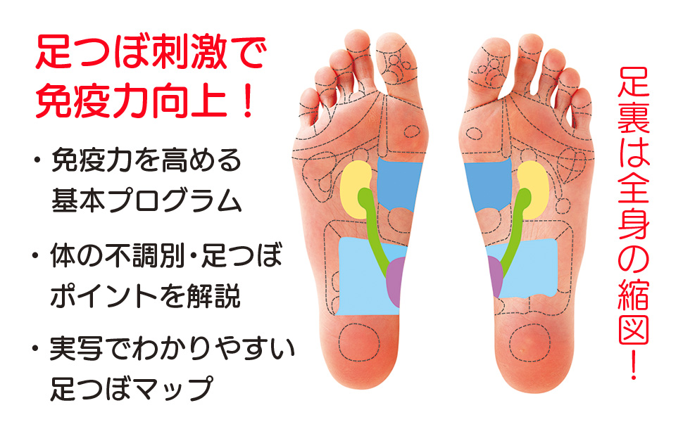 陶酔台湾 足つぼ指圧棒 ([バラエティ]) | フットセラピー |本 | 通販