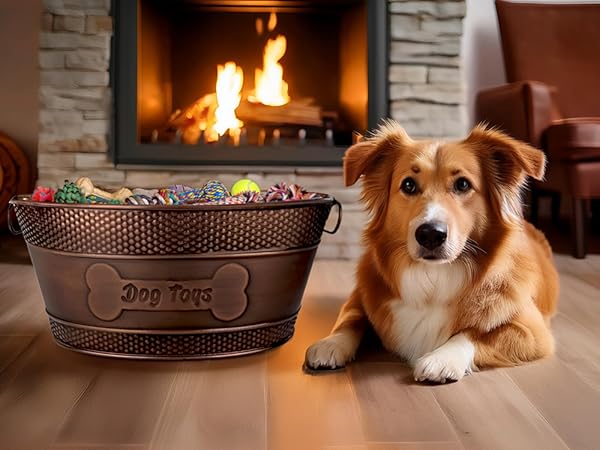 Dog sitting next to metal dog toy basket in living room.