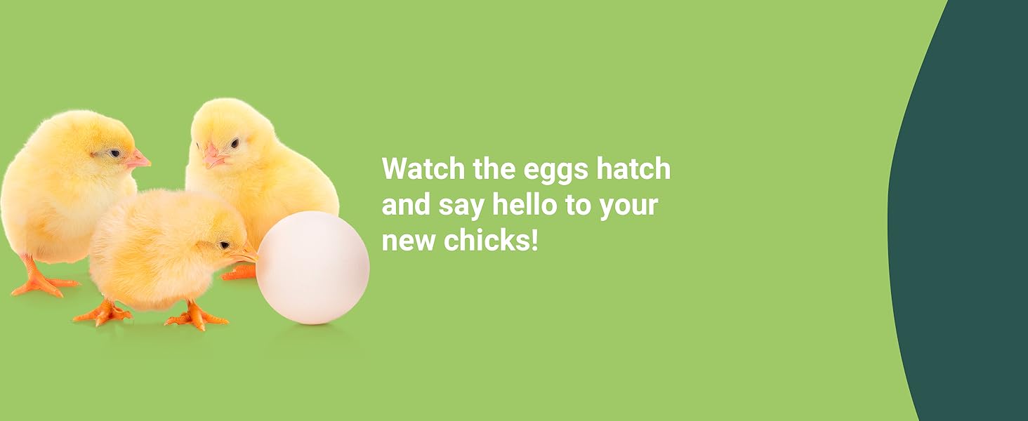 egg incubator chicken encubadoras pollos huevos hatching chicks automatic turning humidity duck