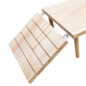 Bearded Dragon Basking Platform