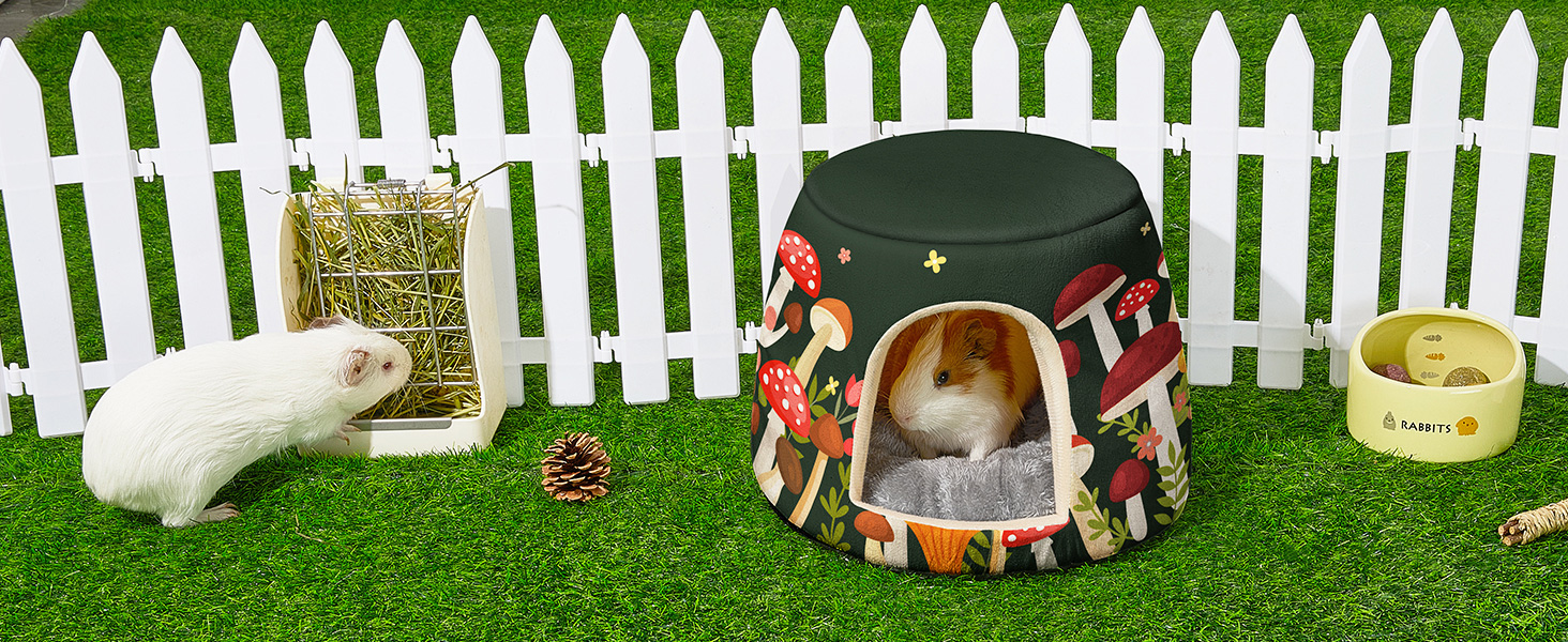 guinea pig bed